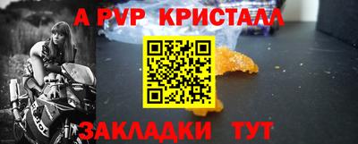 стаф Аргун