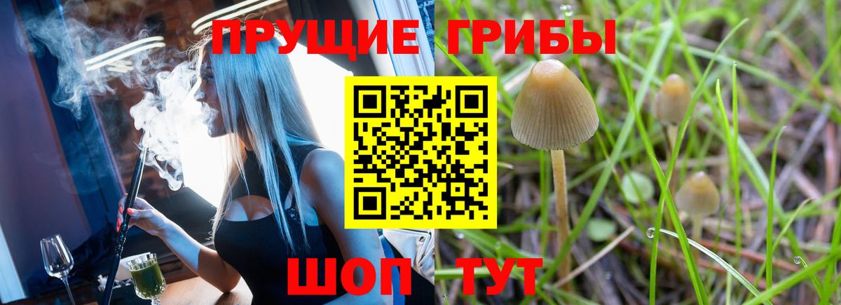Галлюциногенные грибы прущие грибы  Вход с VPN  наркота  Волжский  Галлюциногенные грибы MAGIC MUSHROOMS 